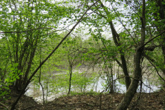 Ambiente