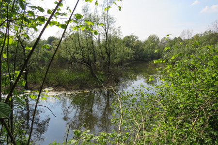 Fiume Ticino