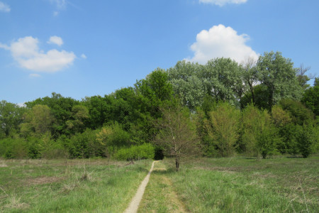 Ingresso della Riserva