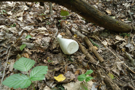 DSC03759
